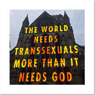 The world needs transsexuals Posters and Art